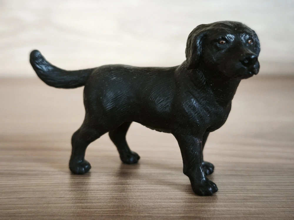 labrador černý 16327, model 2001