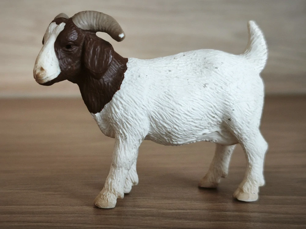 Koza burská 13259, model 2001
