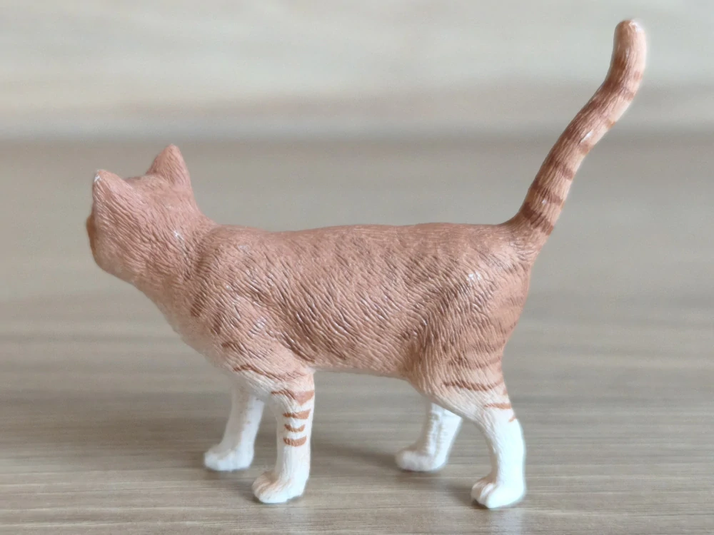 kočka rezavá 13836, model 2016