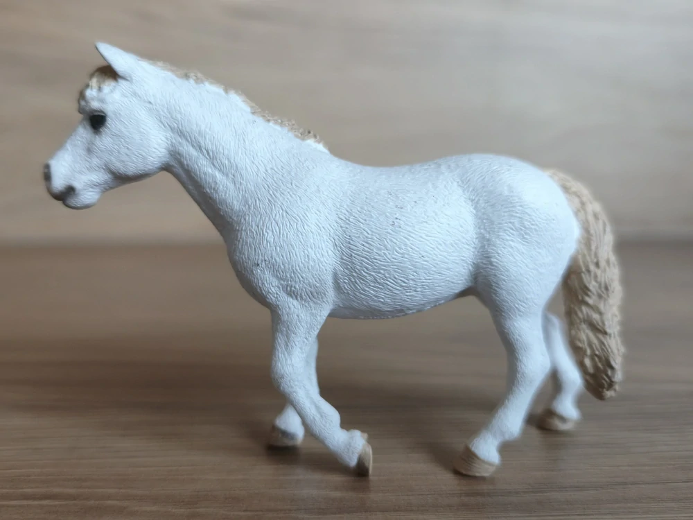 Klisna dartmoorského poníka 42423, model 2017