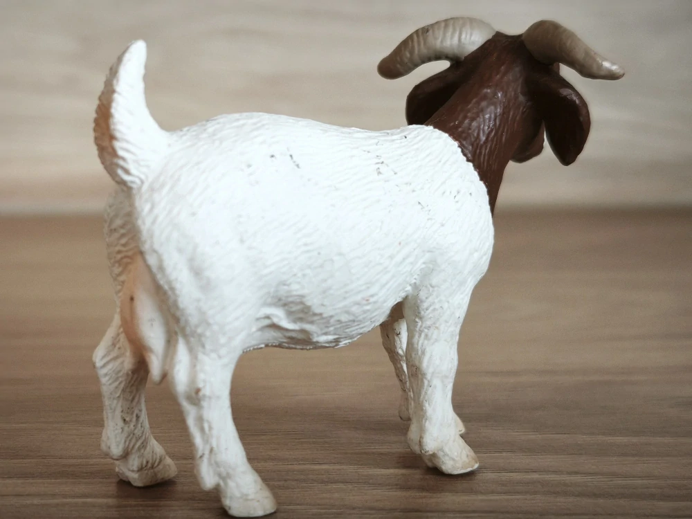 Koza burská 13259, model 2001