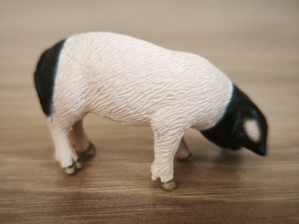 sele švábské 13635, model 2007