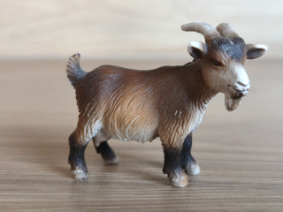 koza 13601, model 2004