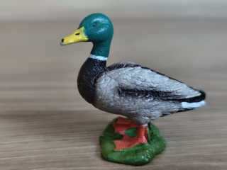 kačer 13824, model 2016