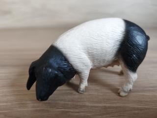 prasnice švábská 13612, model 2005