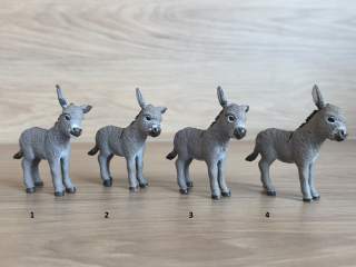 osel mládě 13746, model 2013