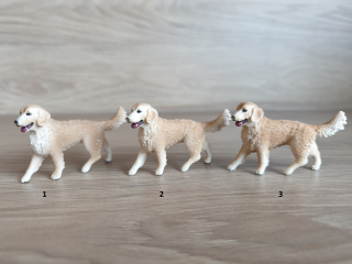 zlatý retrívr fena 16395, model 2013