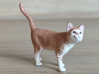 kočka rezavá 13836, model 2016