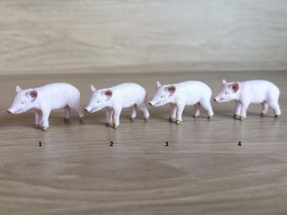 sele 13783, model 2014