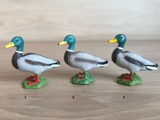 kačer 13824, model 2016