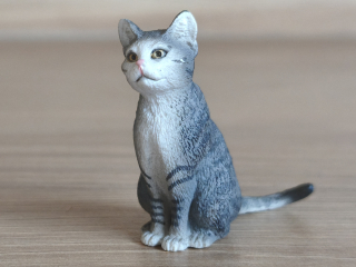 kočka 13771, model 2014