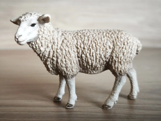 ovce 13743, model 2013