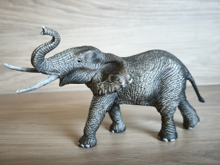 slon africký samec 14762, model 2015