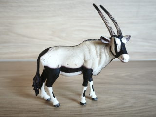 antilopa Oryx 14759, model 2015