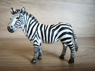 zebra 14392, model 2008